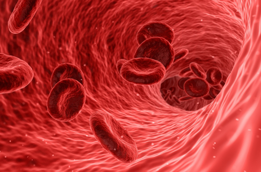 Platforma Life Sciences 4.0 Platforma Life Sciences 4.0